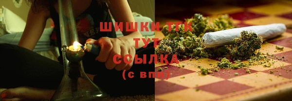 молекула духа Нязепетровск