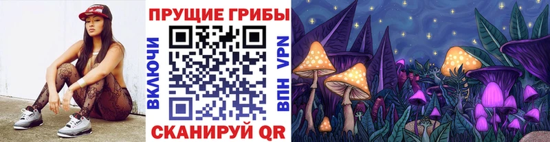 сколько стоит  Алзамай  Псилоцибиновые грибы Psilocybine cubensis 