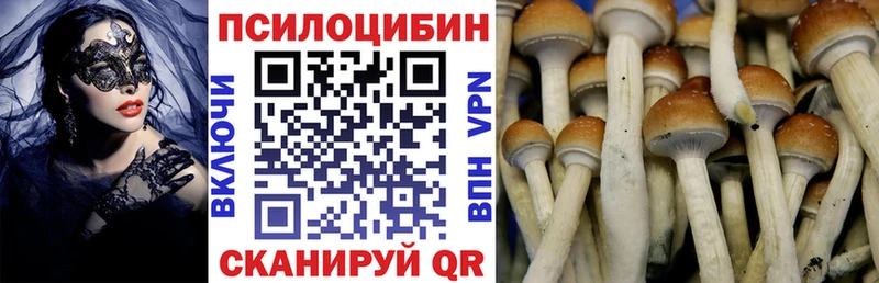 Псилоцибиновые грибы Cubensis Алзамай